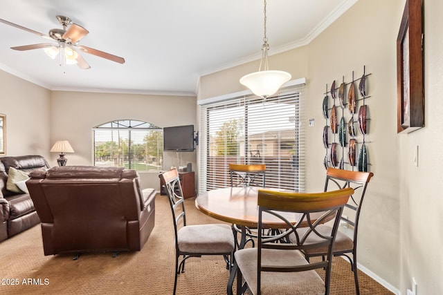 dining area with ornamental molding, carpet, a ceiling fan, and baseboards