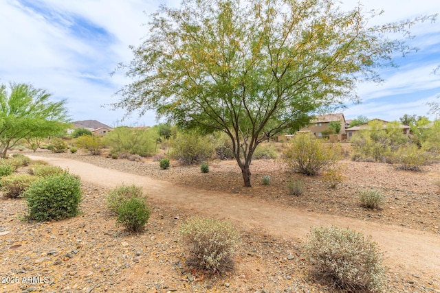 1951 W Plum Rd, Phoenix, AZ 85085 - view of yard