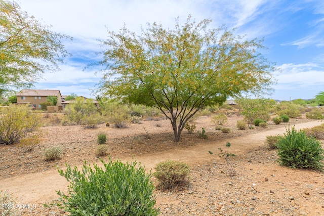 1951 W Plum Rd, Phoenix, AZ 85085 - view of local wilderness