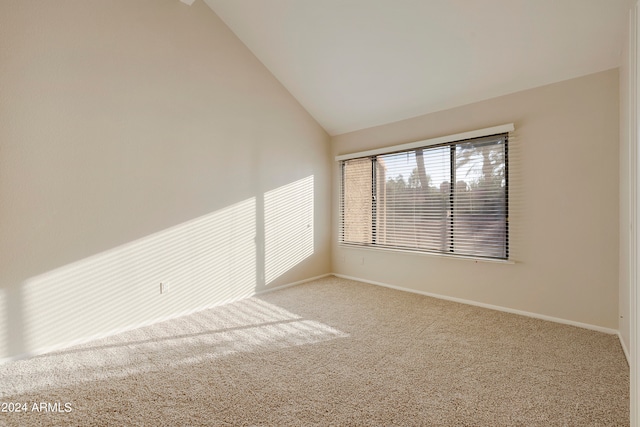 empty room featuring high vaulted ceiling and carpet flooring