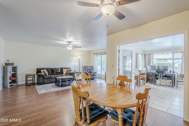 dining space featuring ceiling fan, a healthy amount of sunlight, and light hardwood / wood-style floors