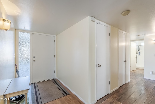 foyer entrance with wood-type flooring