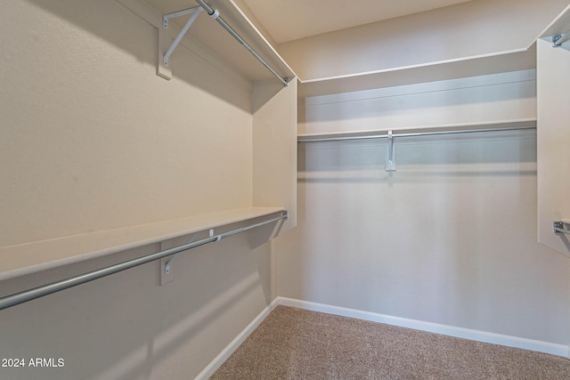 walk in closet with carpet