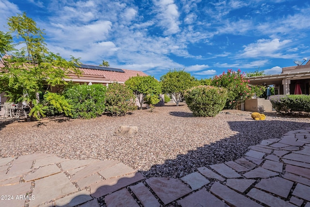 view of yard featuring a patio