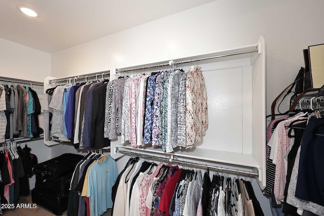 view of spacious closet