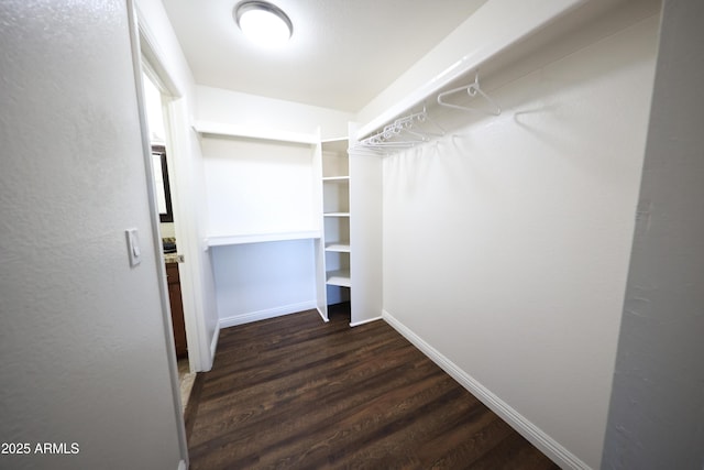 walk in closet featuring dark wood-type flooring