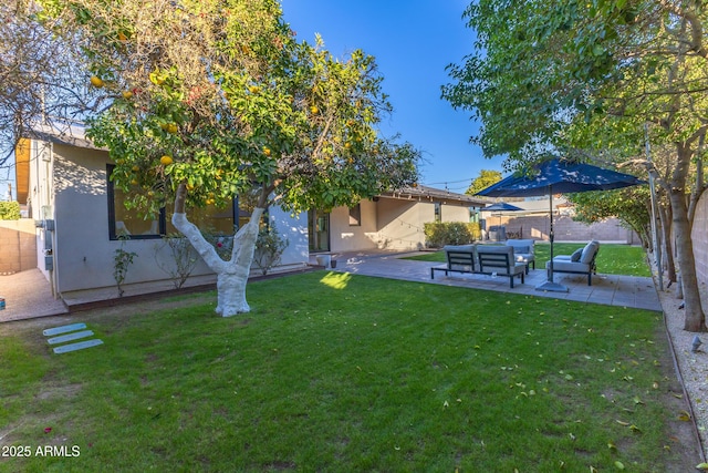 view of yard with outdoor lounge area and a patio