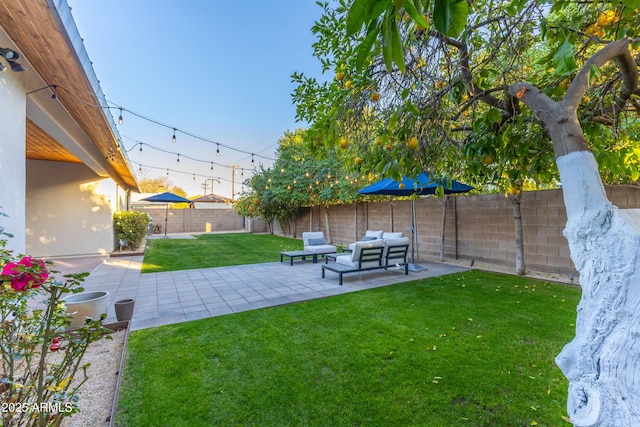 view of yard with a patio and outdoor lounge area