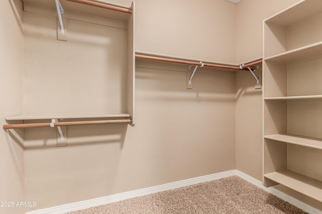 spacious closet with carpet floors