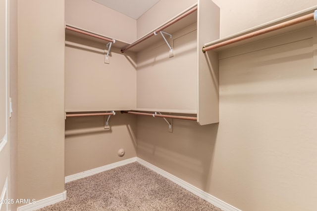 walk in closet featuring light colored carpet