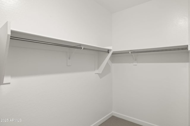 walk in closet with carpet