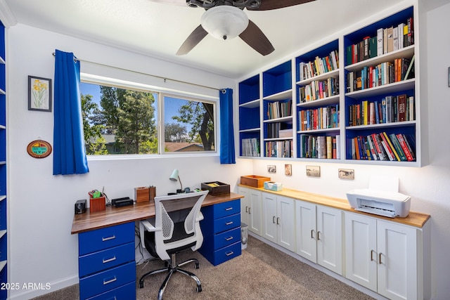 3465 N Jamison Blvd Unit 05, Flagstaff, AZ 86004 - office space with carpet floors and ceiling fan