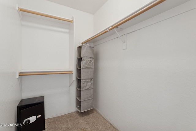 4718 E Woburn Ln, Cave Creek, AZ 85331 - walk in closet featuring carpet