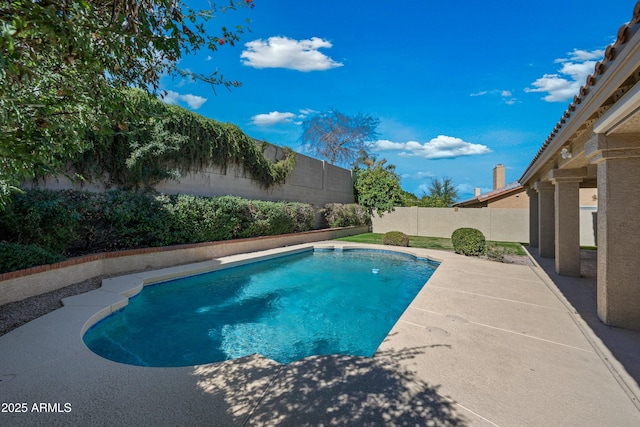 view of swimming pool with a patio, a fenced backyard, and a fenced in pool