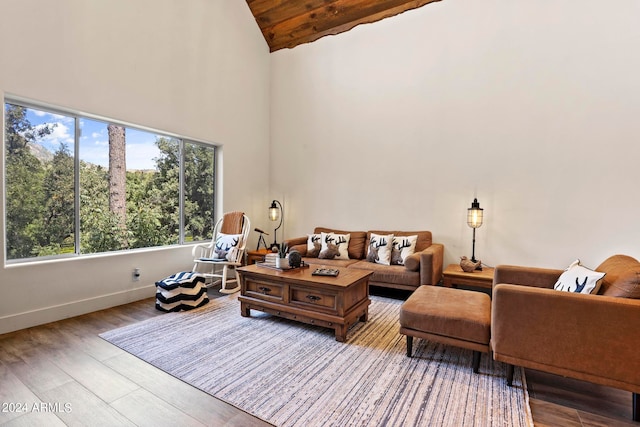 living room with light hardwood / wood-style flooring and high vaulted ceiling