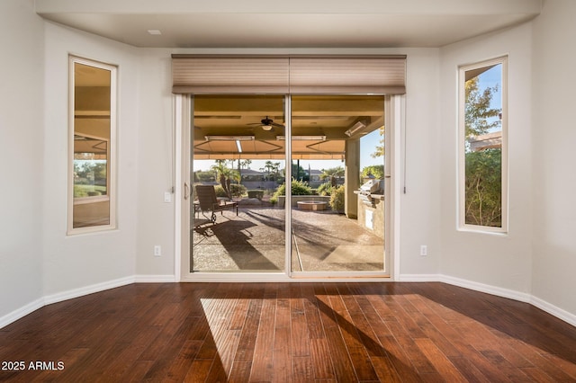 entryway with wood-type flooring