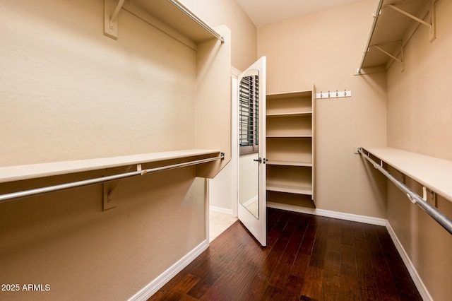 walk in closet with dark wood-type flooring