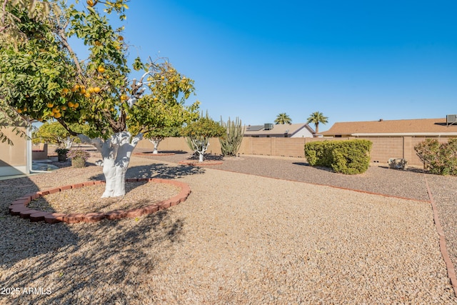 view of yard with a patio area