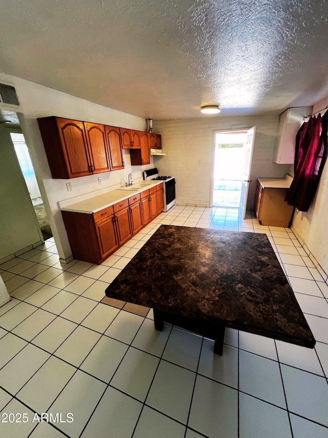3905 W Almeria Rd, Phoenix, AZ 85009 - kitchen featuring white range with gas stovetop, a sink, a textured ceiling, light countertops, and brown cabinets