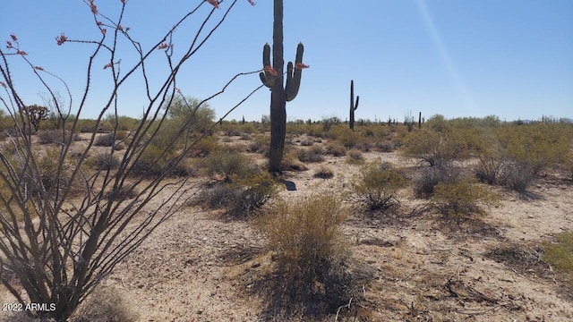 10559 N Wildwood Rd '-', Unit Florence AZ, 85132 land for sale