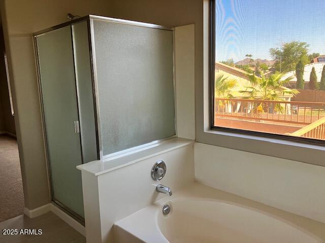 bathroom with a shower stall, a wealth of natural light, and a bath