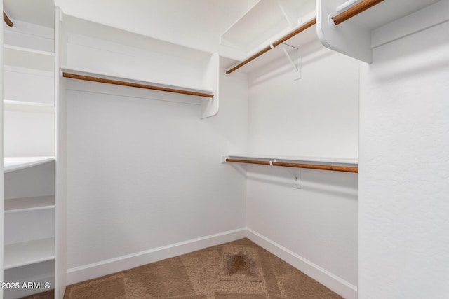 spacious closet with carpet flooring