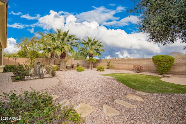 view of yard with a patio