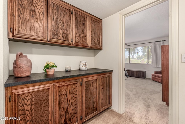 1108 N Oro Vis, Litchfield Park, AZ 85340 - bar area with light carpet