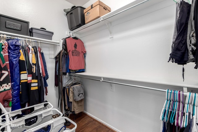 spacious closet with wood finished floors