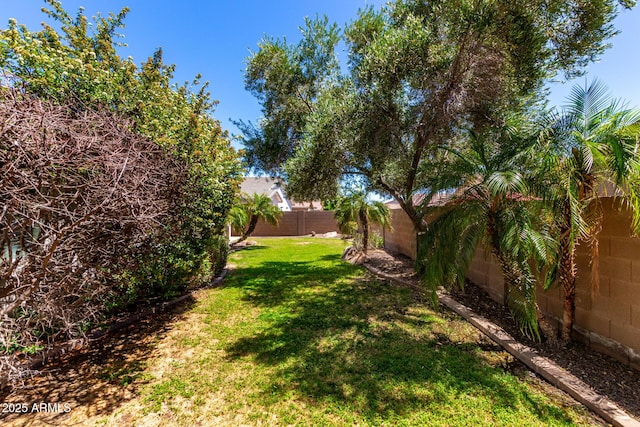 view of yard with a fenced backyard