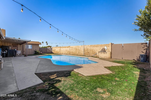 view of pool with a patio area and a yard