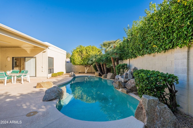 view of pool with a patio area