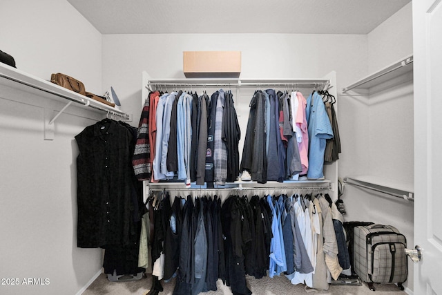 spacious closet with carpet flooring