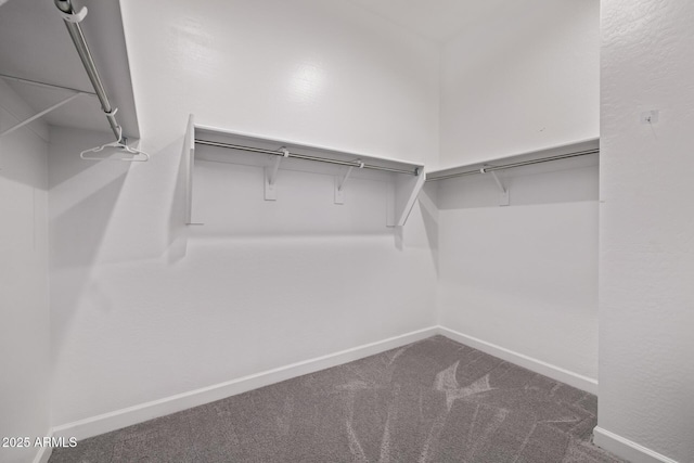 17118 N 50th Way, Scottsdale, AZ 85254 - spacious closet with carpet flooring