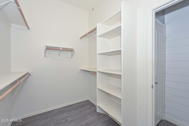 spacious closet featuring dark hardwood / wood-style floors