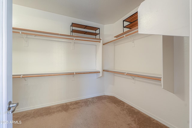 spacious closet with carpet