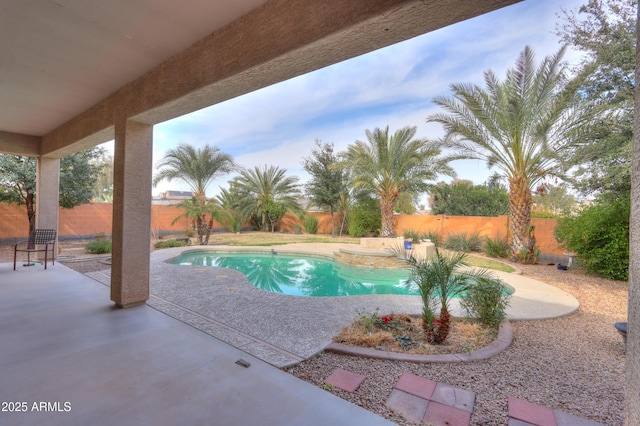 view of pool with a patio, a fenced backyard, and a fenced in pool