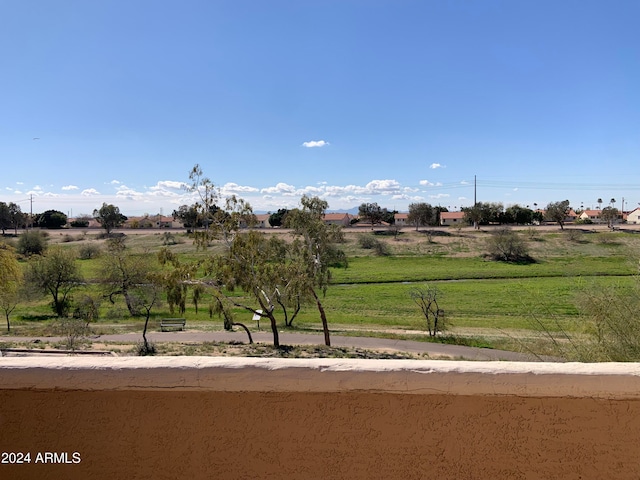 view of yard with a rural view