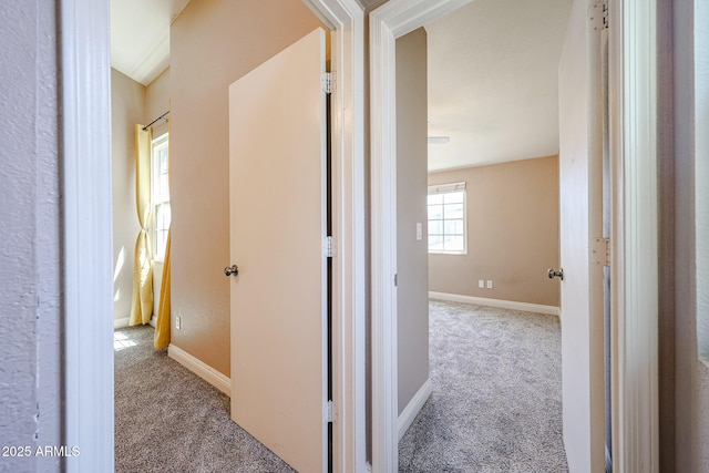 2301 E University Dr Unit 210, Mesa, AZ 85213 - corridor featuring carpet and baseboards