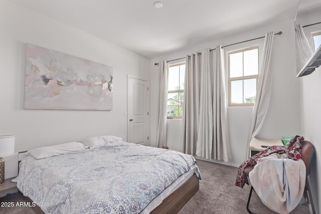 2347 W Sunland Ave, Phoenix, AZ 85041 - view of carpeted bedroom