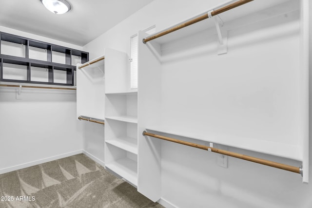 spacious closet featuring carpet floors