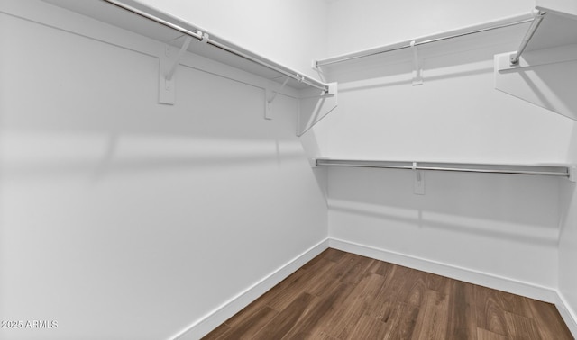 walk in closet with dark hardwood / wood-style floors