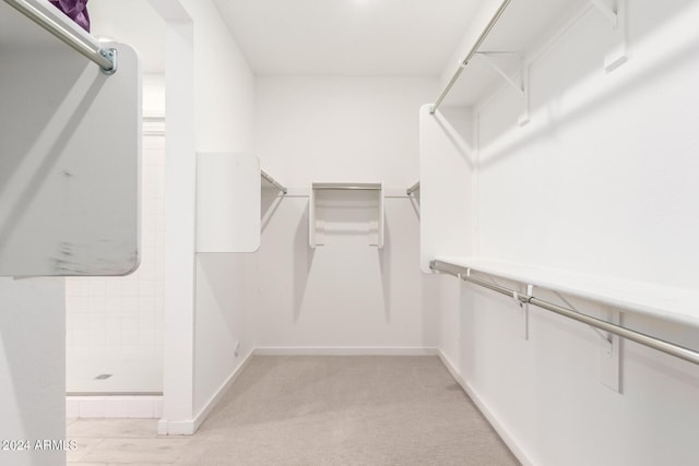 spacious closet featuring light colored carpet