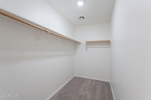8854 W Aster Dr, Peoria, AZ 85381 - spacious closet featuring carpet floors