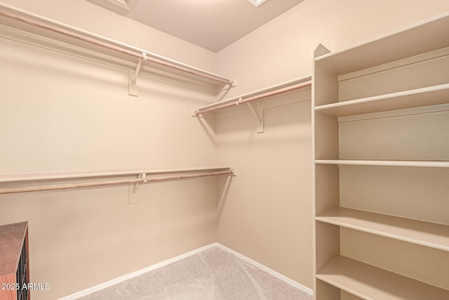 spacious closet with carpet floors