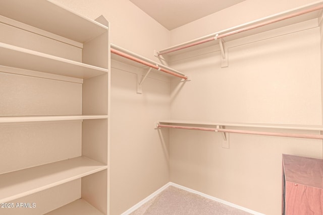 walk in closet with carpet flooring