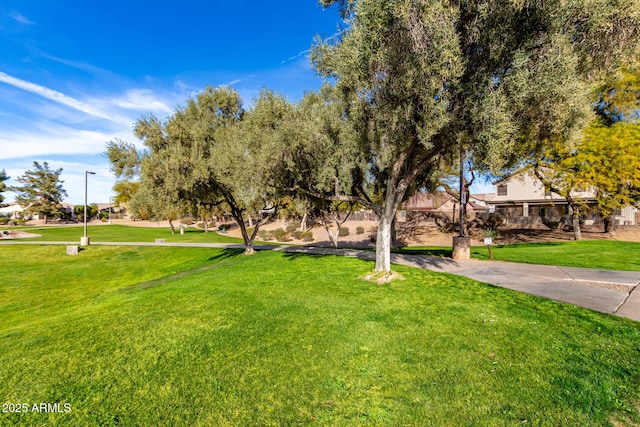 view of property's community featuring a lawn