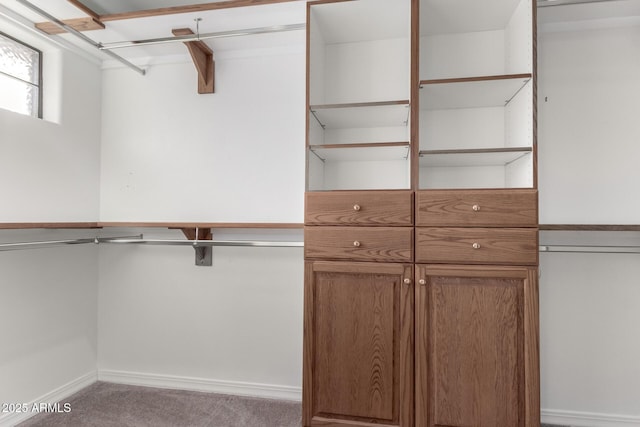 spacious closet featuring light carpet