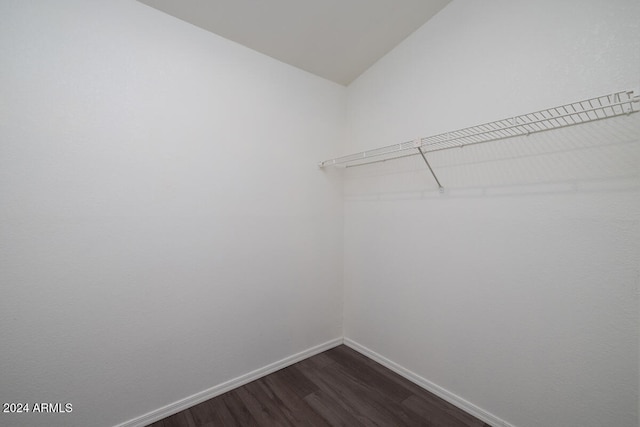 spacious closet featuring dark hardwood / wood-style flooring and lofted ceiling