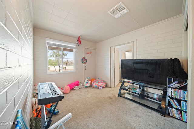 playroom with carpet and brick wall